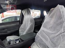 بی وای دی ‎سۆنگ پرۆ DM-i